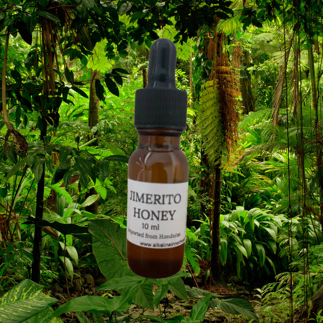 Jimerito Honey (Imported from Honduras)