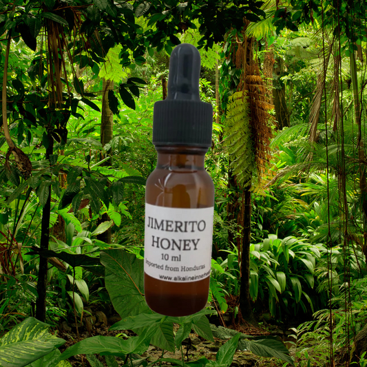 Jimerito Honey (Imported from Honduras)